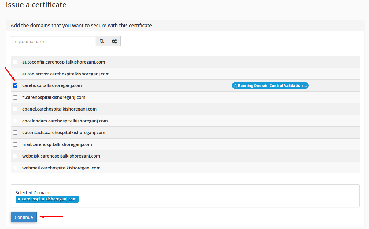 Selecting a domain to secure and clicking Continue